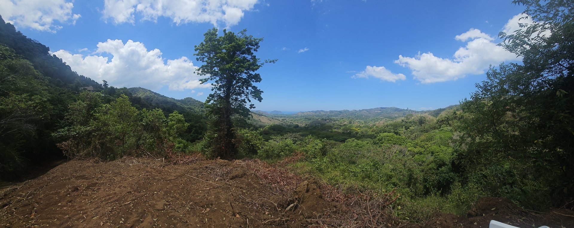 An ultra wide view across the levelled pad, one tree standing at its edge, the forested valley and a sliver of ocean beyond