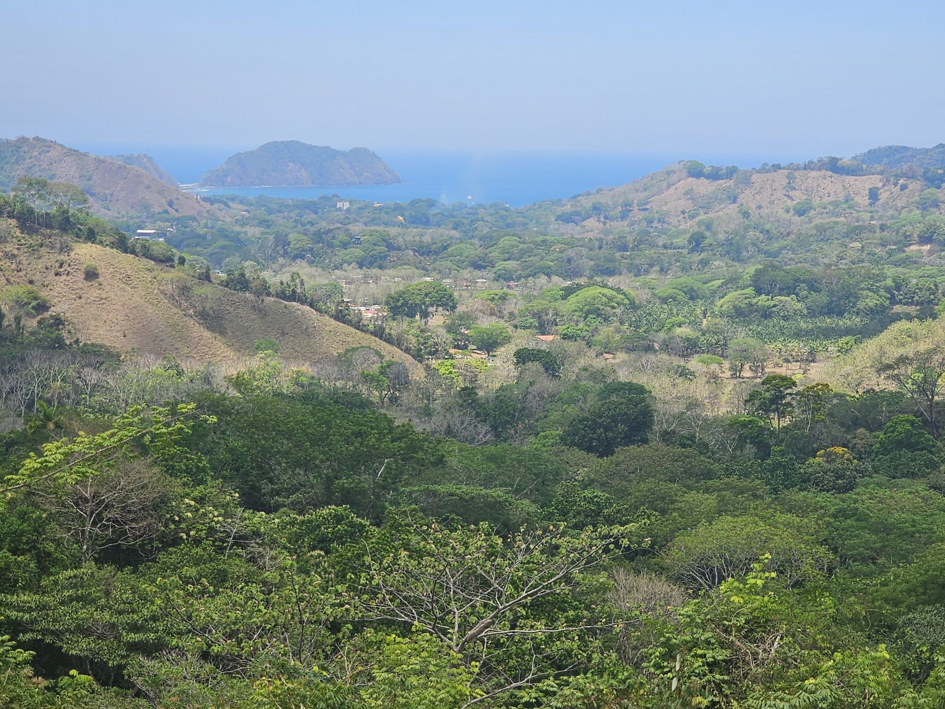 Dry season, the same valley and the same bay from the same point, the hills burnt gold