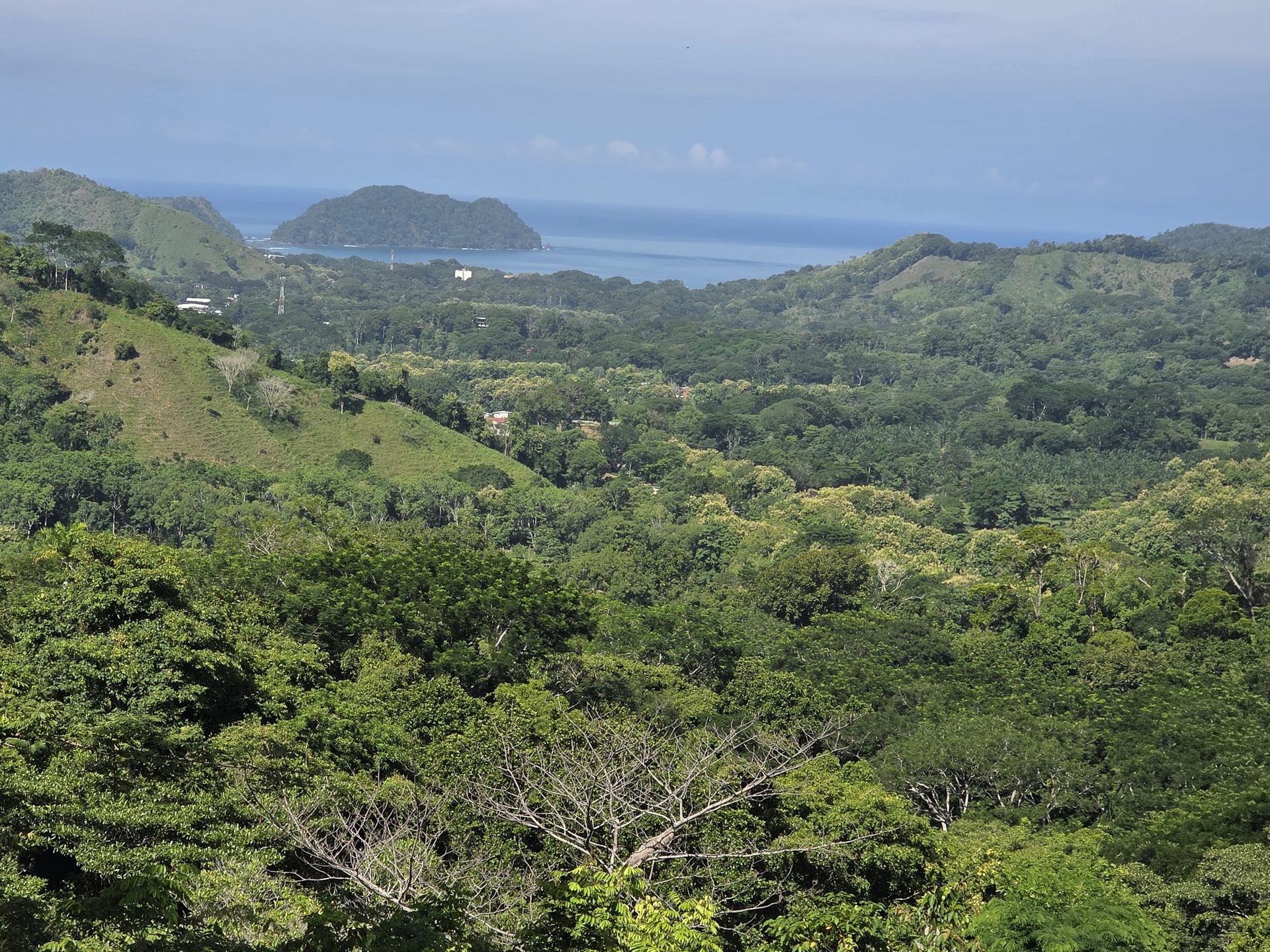 Green season, the valley and the bay from the ridge, the headland deep green